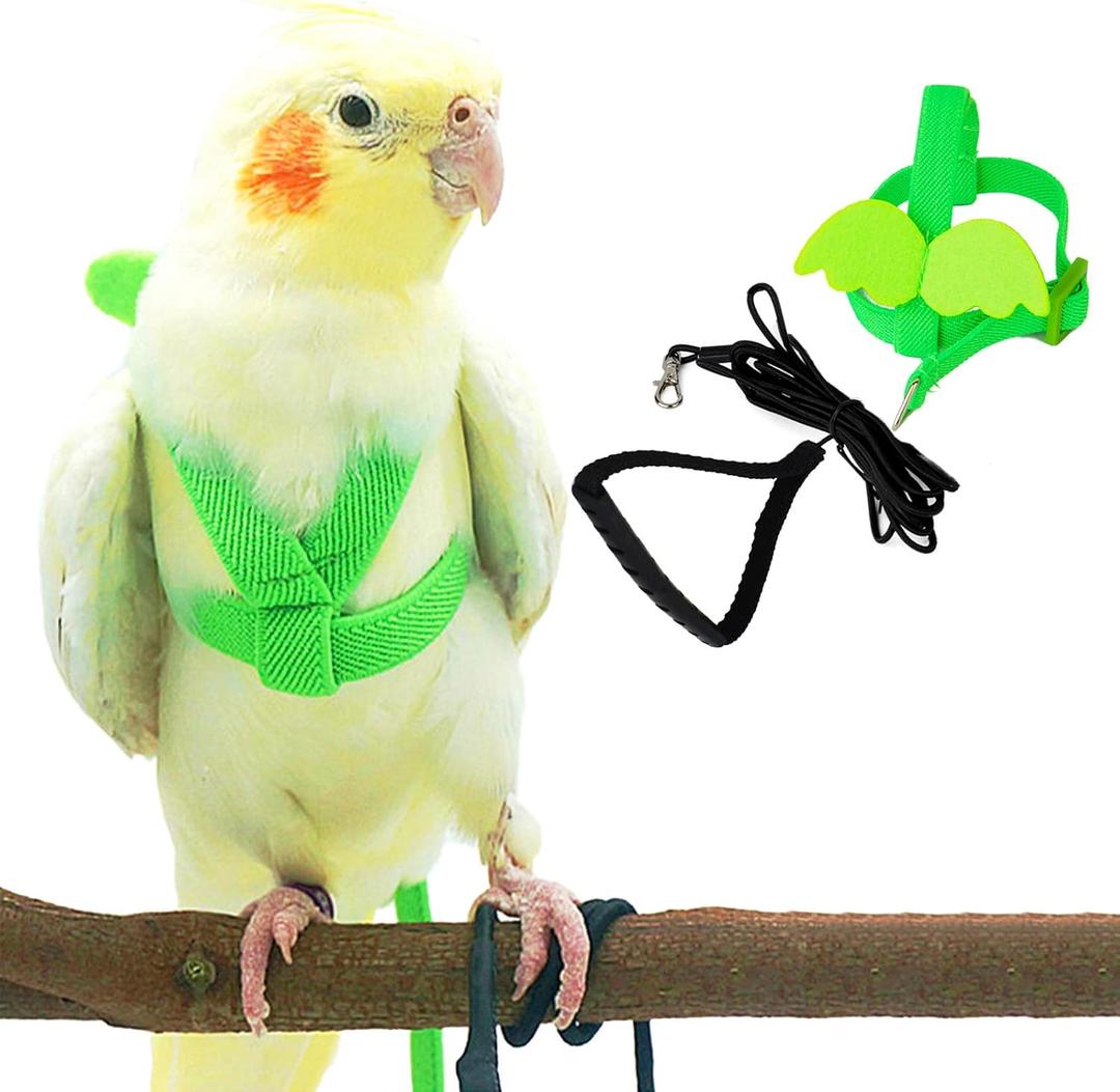 Dnoifne Pet Parrot Bird Harness and Leash, Adjustable Training Design Anti-Bite, Bird Nylon Rope with Cute Wing for Parrots, Suitable for Scarlet, Keck, Mini Macaw and Same Size Birds (Green)
