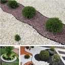 A ANLEOLIFE 40FT Plastic Landscape Edging, 2" Tall No-Dig Black Garden Border with 48 Spikes, Heavy-Duty Flexible Lawn Coil, Grass Barrier & Easy Install