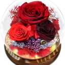 Preserved Flower Red Rose in Glass, Eternal Roses Gifts for Women, Mom, Girlfriend, Wife, Her on Christmas, Valentine's Day, Mother's Day, Birthday, Anniversary