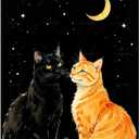 Moonlit Cats Paint by Numbers Kit for Adults - DIY Black and Orange Kitty Night Scene Painting on Canvas, Acrylic Paint Set, Suitable for Beginners, Art for Home Decoration or Gifts(16X20IN Framed)