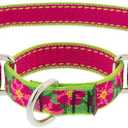 Lupine Martingale Dog Collar 3/4" Wide Petunias Adjusts from 14" to 20"