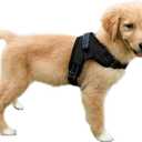 No Pull Reflective Adjustable Dog Harness With Handle- Comfortable Soft All Weather Mesh, Easy On Puppy Harness For Small Medium and Large Dogs (Black) Medium