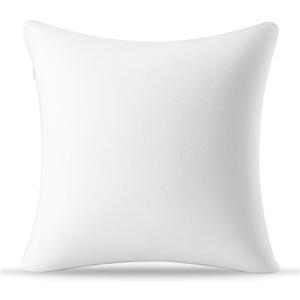 AM AEROMAX 20 20 Throw Pillow Memory Foam Pillow Insert - Square Accent Pillow for Decorative Cushion Bed Couch Sofa - Non-Deforming Over Time (White)
