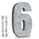 10 Inch Silver Glitter Big Number 6 Table Centerpieces Party Decorations,Birthday Chrismas Anniversary Graduation Centerpieces for Decorations,0-9 Numbers for Party Supplies