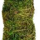 Galapagos 22205 Mossy Perch for Aquarium, 18", Fresh Green