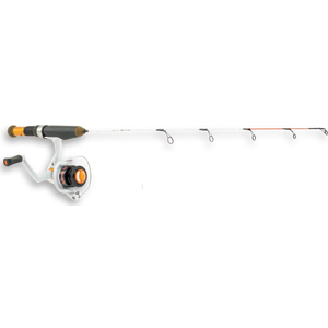 Celsius C129M/CBZ410 Ci Med Combo 29" Rowdy Rod