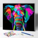 Hiolife Paint by Number Kits for Adults,Kids, Beginners, with Brushes and Acrylic Pigment, 16x12 Inch Elephant - with Framed