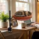 Cat Desk Bed, 360° Rotating & Height Adjustable