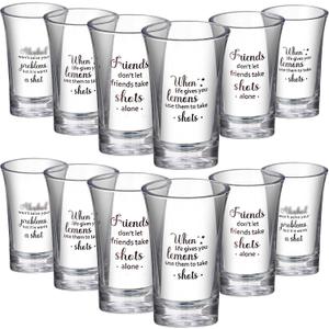 Cunhill 12 Packs Funny Shot Glasses Acrylic Clear Party Shot Glasses 1.2 Ounce Small Wine Glass Cups Bulk Adult Birthday Drinking Gifts Supplies(Friend)