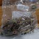 Mellow Naturalista Classic - 12 Inch Solid Wood Platform Bed with Wooden Slats, No Box Spring Needed, Easy Assembly, Queen, Pine