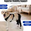 Dog Knee Brace with Adjustable Support Acl Hind Leg for Support with Cruciate Ligament Injury, luxating Patella,Arthritis,Dog Acl Knee Brace with Dog Chest Harness, Medium