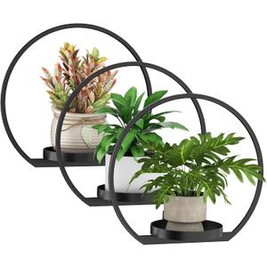 Wall Planters for Indoor Plants,Plant Frames Wall Decor Living Room Plant Stand Hanging Wall Plants Holder to Hold Large Pots Wall Plant Hanger Window Plant Shelves for Outdoor Entryway