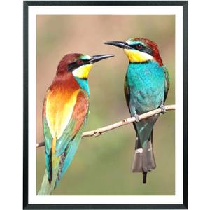 Mxtallup 19x24 Picture Frames Solid wood,Display Pictures 17x22 Inch With Mat or 19x24 Inch Without Mat, Poster Frames 17x22 in Photo Frames Wood Black (T22B1924W1722)