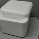 Robin II EPS Foam Cooler (Outside Dimensions: 9 x 8 x 7.5) with Shipping Box - 3 Pack, Protective, Thermal, Insulated, Biodegradable, Recyclable, Shipping/Storage
