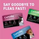 Capstar (nitenpyram) Cat Flea Treatment, Fast-Acting Oral Flea Treatment for Cats 2-25 lbs, Vet-Recommended Medication Tablets Start Killing in 30 Minutes, 6 Doses, EXP: 09/2027