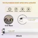 Konideke F32T8/841 32W 48 Inch T8 Fluorescent Tube Light Bulb, T8 Fluorescent Bulbs 4 Foot, 4ft Light Bulb, 4100K Cool White, 2850 Lumens, G13 Medium Bi-Pin Base,10 Pack