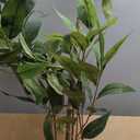 Ferrgoal 4Ft Artificial Eucalyptus Plant with White Planter
Fake Plants with Silk Leaves,Faux Tree Indoor for Home Decor Floor Porch Liveing Room