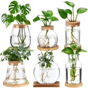 Honeydak 5 Pcs Plants Propagation Stations Planter Terrariums with Wooden Lid and Bamboo Stand Desktop Glass Propagation Vases for Plant Growing Hydroponic Home Office Tabletop Decoration