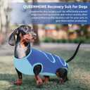 Queenmore Large Recovery Suit for Dogs After Surgery Blue,L Professional Pet Recovery Shirt Dog Abdominal Wounds Bandages, Adjustable Pet Surgery Recovery Suit