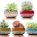 Cute Ceramic Succulent Garden Pots, Planter with Drainage and Attached Saucer, Set of 5 -Plants Not Included (Round)