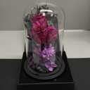Valentines Day Flowers Roses Gifts for Women Her,Forever Preserved Rose in Glass Dome, Valentines Anniversary Birthday Real Roses Gifts for Wife Women Girlfriend Best Friend/Purple