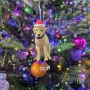 3D Printed Funny Christmas Ornament for Tree and Car  Unique Gag Gift for Pet Lovers  Fun Christmas Tree & Car Decor Gift