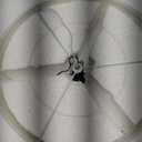 Globe Electric 2-Light Flush Mount Ceiling Light, Matte Brass Finish, White Linen Shade, E26 Base, Dimmable, Minimalist Home Lighting, 60998