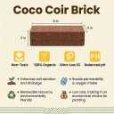 Halatool 10-Pack Coco Coir Bricks, Organic Coconut Coir Soil for Plants, Gradening, Seed Starter, Potting Mix, Reptile Substrate, 72 Quart Expanding Soil (EXP 12/19/36)