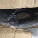 RitFit Olympic Rubber Grip Plates for Barbell, 2-Inch Weight Plates for Weightlifting and Strength Training in Home & Gym, Single, Pair and Sets(15 LB)