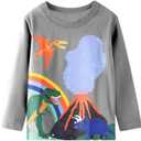 Toddler Boy Long Sleeve Shirts Kids Cotton Fall Top Crewneck Clothes 2-7 Years