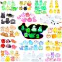 DWWPOO Luminous Mini Resin Animals 100 Pcs Glow in The Dark Resin Animals 100 Styles Miniature Fairy Garden Mini Ducks Figurines Slime Charm for Accessories Landscape Aquarium Potted Decoration