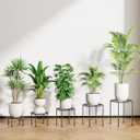 5-Pack Metal Plant Stands for Outdoor Indoor, Anti-Rust Iron Flower Pot Stand, Heavy Duty Plant Pot Shelf for Multiple Plant, Decoration Racks for Home, Patio & Garden (Black)