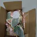 Blush Pink Wrist Corsage Wristlet and Boutonniere Set for Wedding Bridesmaid Mother Grandmother for Bridal Shower Wedding Artificial Roses Flower Prom