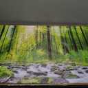 Tucai Decor Canvas Art Decor Morning Sunrise Green Trees Landscape Sunshine Over Forest Photograph Printed on Canvas for Home Wall Decoration Wall Art for living Room Print Artwork Natural Picture 24"x48"