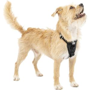 Kurgo Enhanced Strength Tru-Fit Smart Dog Harness, Crash Tested Car Safety Harness for Dogs, No Pull Dog Harness, Includes Pet Safety Seat Belt Tether - Black, X-Small
