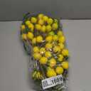 Giegxin 15 Pcs Artificial Lemon Decor 19 Inch Fake Lemons Branch Decoration Vivid Yellow Lime Branches 5 Head Faux Lime with Stem Decorations for Kitchen Table Vase Home Farmhouse Party
