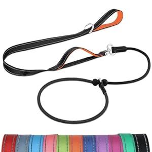 Joytale Tangle-Free Slip Leads for Dogs, 6 FT Slip Leash with Padded Double Handle, Reflective Nylon Training Leash for Small Medium Dogs 15-40 Lbs, Red