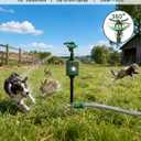 Solar Motion-Activated Animal Repellent Sprinkler with Metal Stake