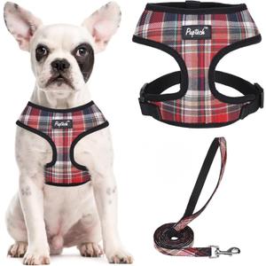 PUPTECK Soft Mesh Dog Harness and Leash Set Pet Puppy Cat Comfort Padded Vest No Pull Harnesses, Red Mixed, S (S (NECK: 12", CHEST: 14"-18"))
