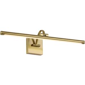 DESOOP Brass Picture Lights for Wall Hardwired LED Picture Frame Light Dimmable Painting Lights for Wall Portrait Artwork 23.62 inch 14W Warm White