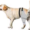 Dog Rear Leg Sleeve to Prevent Licking - Comfortable Recovery Sleeve for Back Hind Leg, Wound Recovery After Surgery for Torn ACL/CCL TPLO, with Extra Plastic Wear Strap, Cone Alternative (Light Grey)