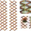 Iceyyyy Wood Lattice Wall Planter - 2Pack Expandable Hanging Wooden Planter Trellis Frame, Indoor Air Plant Vertical Rack Wall Decor for Room Garden