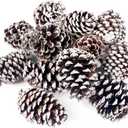 JOHOUSE 12PCS Large Snow-Dusted Pine Cones (3.55 in)  Natural Big Pinecones for Christmas Tree Ornaments, Wreath Making, Bowl Fillers, DIY Crafts & Winter Vase Filler