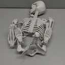 Skeleton Halloween Decor,3Ft Life Size Skeleton Full Body Plastic Human Bones for Halloween Decoration (Gray)