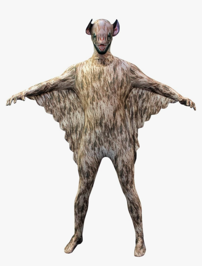 Morphsuits Bat Costume for Kids, Boys Animal Halloween Outfit, Vampire Costume