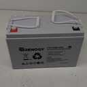 Renogy Deep Cycle AGM 12 Volt 100Ah Battery, 3% Self-Discharge Rate, 1100A Max Discharge Current, Safe Charge Appliances for RV, Camping, Cabin, Marine and Off-Grid System, Maintenance-Free