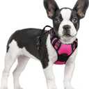 rabbitgoo Dog Harness No Pull with 2 Leash Clips, Adjustable Soft Padded, Reflective Oxford No Choke Pet Vest with Easy Control Handle for Large Dogs, Hot Pink, S
