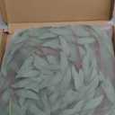 Ling's Moment Italian Ruscus Greenery, 5.9ft Artificial Silk Real Touch Willow Leaf Garland, Fake Wispy Rustic Vine Stem Swag for Table Centerpieces Wedding Arch Decor, Dark Green