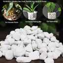 Natural 1-2CM Hard Chunky Perlite 10QT for Plants Horticultural Coarse Organic Pearlite Bulk Potting Mix Garden Soil Amendment for Enhanced Drainage and Ventilation for Orchid, Dendrobium, Araceae