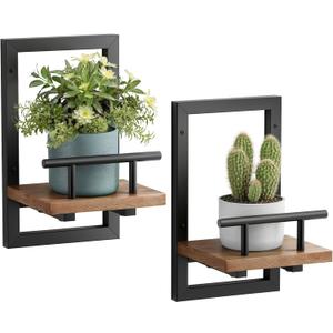 Sbosbo Floating Shelves for Wall, Plant Shelf Indoor, Wall Planters for Indoor Floating Plant Shelves for Bedroom, Living Room, Kitchen, Office, Bathroom Decor (2 Pack)